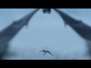 sleep the sky. (author's video, stills from the films he is a dragon and the legend of kolovrat)
